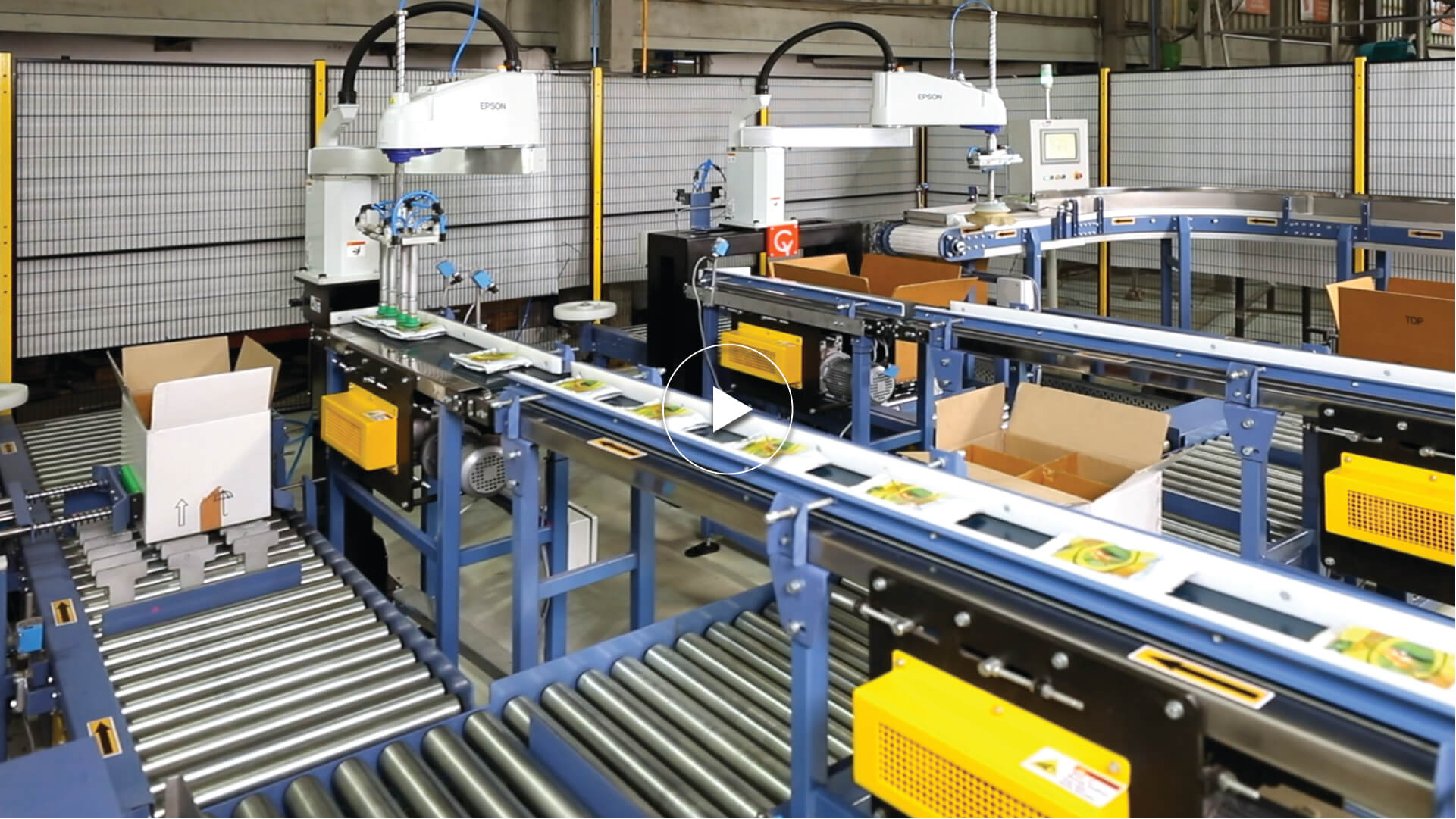 SCARA Case Packer for Single & Multiple Pouches