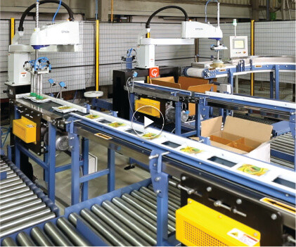 SCARA Case Packer for Single & Multiple Pouches