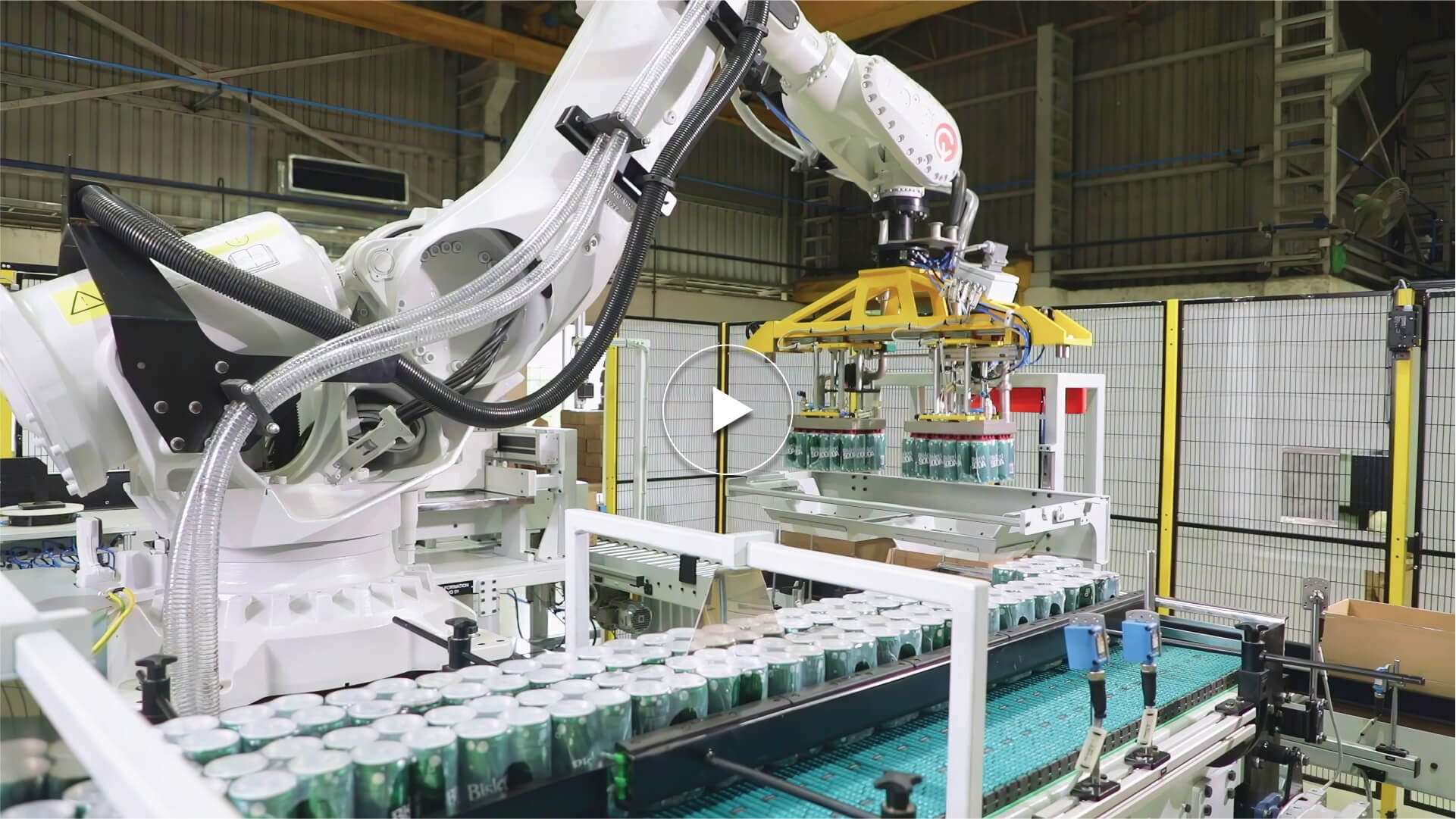 Six Axis Case Packer for Bottles