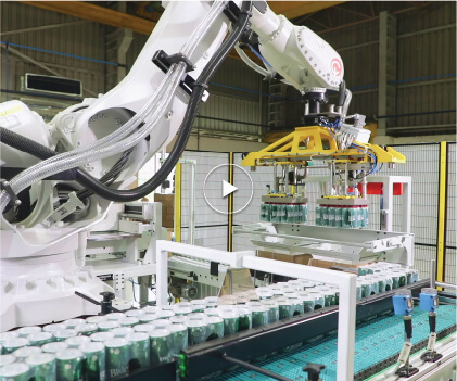 Six Axis Case Packer for Bottles