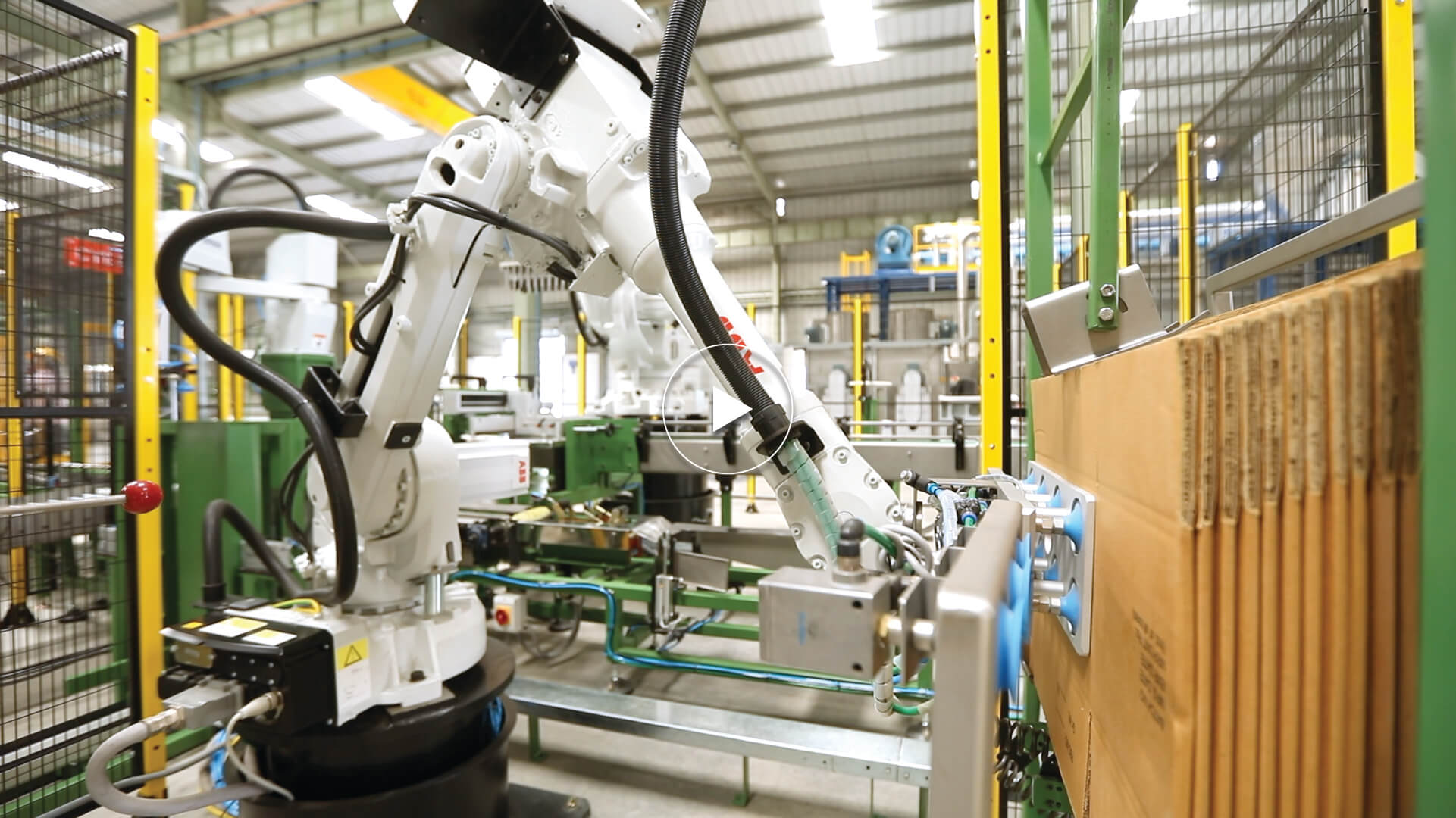 Six Axis Case Packer for Multiple Sized Bottles