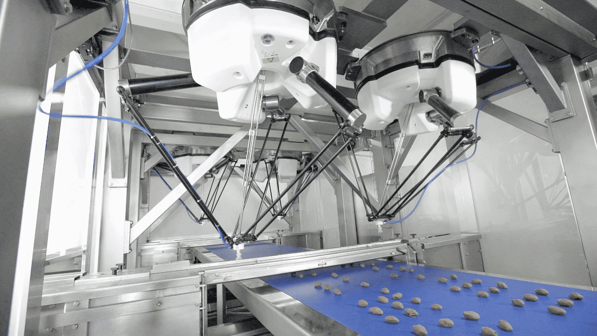 Case Packers Banner Image