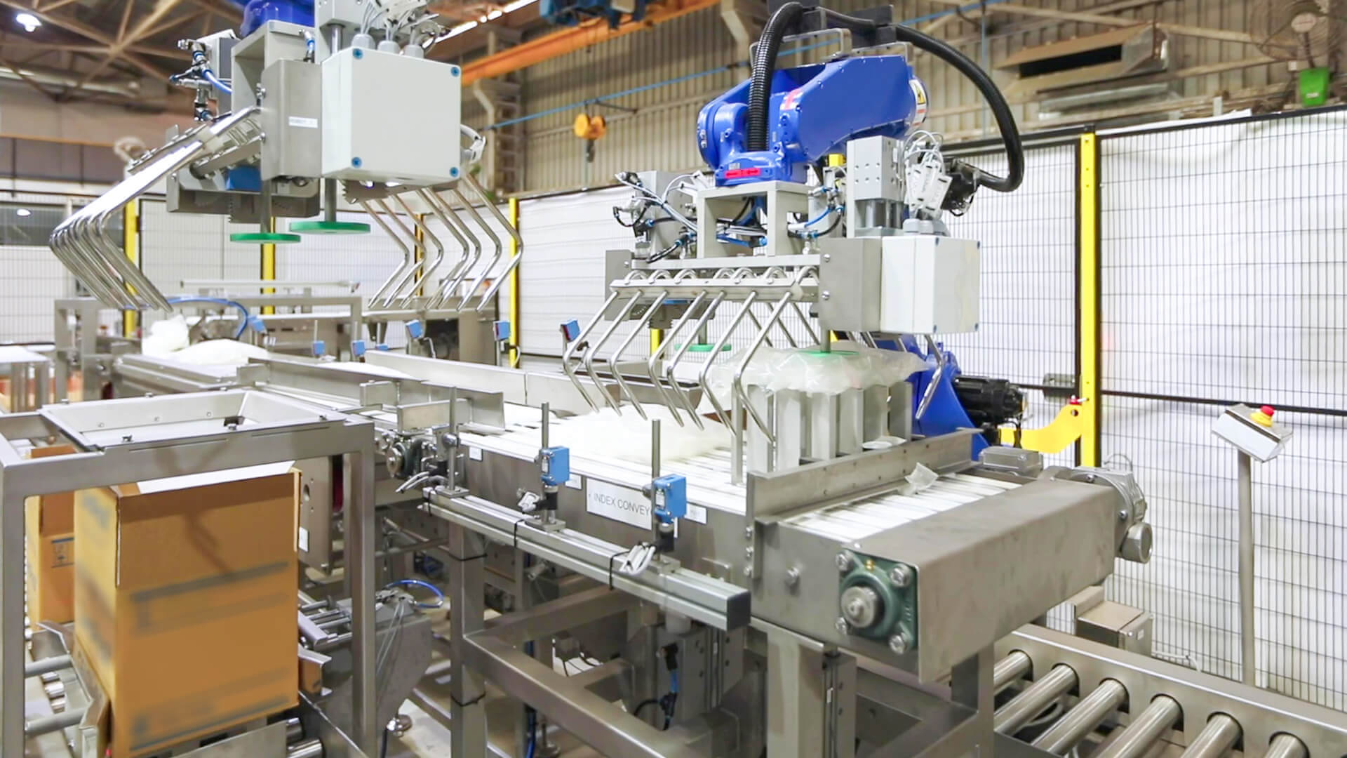case packer for pouches